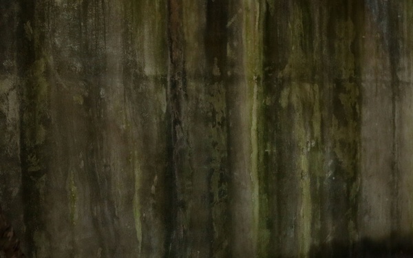 Sentry South 26-2 M17 range