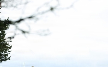 U.S. Army Bradley Fighting Vehicle Maneuvers the Battlefield  During Combined Resolve 26-05 in Hohenfels, Germany