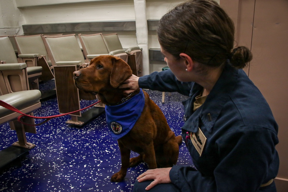 Abraham Lincoln Therapy Dog Visits Frank E. Petersen Jr.