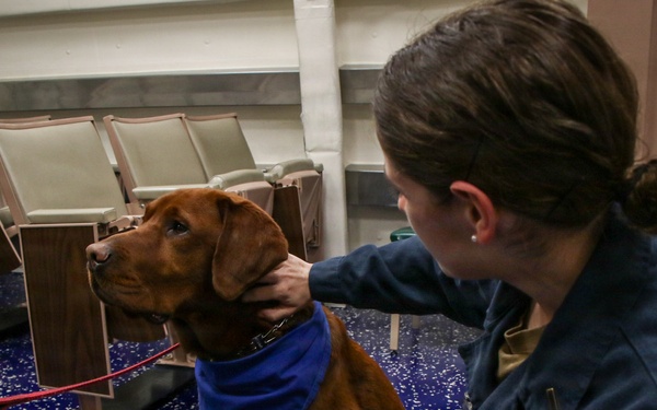 Abraham Lincoln Therapy Dog Visits Frank E. Petersen Jr.