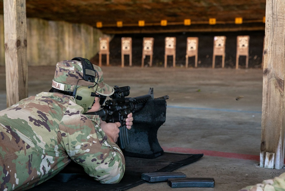 Sentry South 26-2 M4 Range