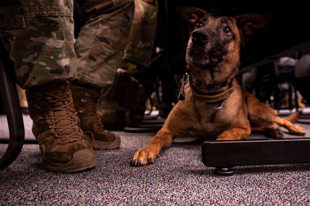 OPMED team supporting Joint Service, multi-agency Arctic Edge exercise