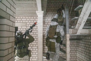 AFN Naples Regional News - Lithuanian Land Forces Day and Department of State