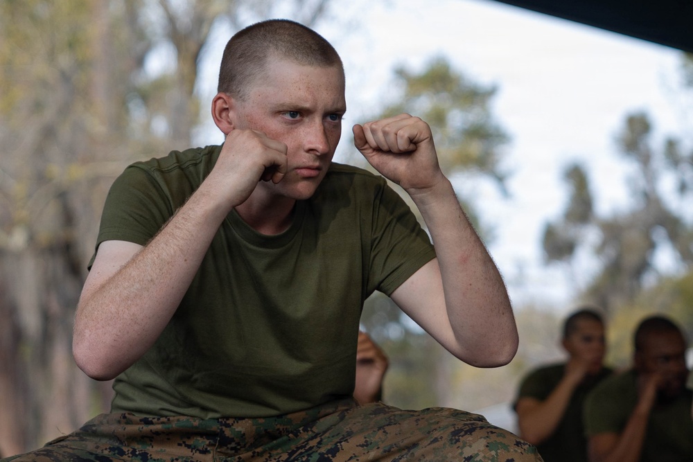 Fox Company MCMAP Test Out