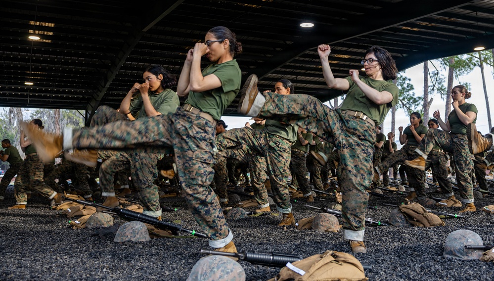 Fox Company MCMAP Test Out