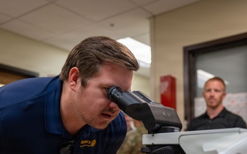 Goodfellow Medical Group unveils newest sheep in the flock