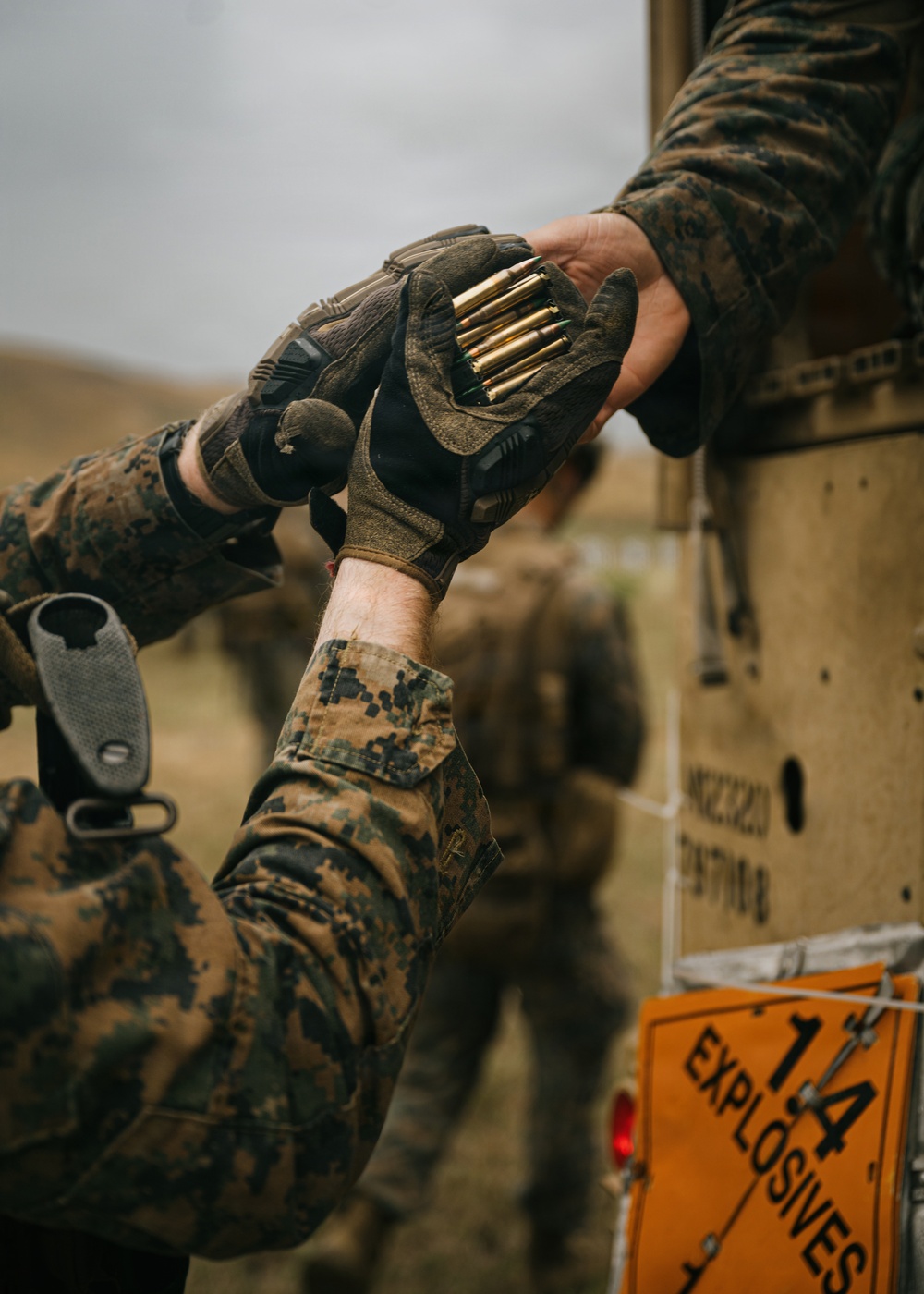 Marines, Air Force EOD build joint lethality in Puerto Rico