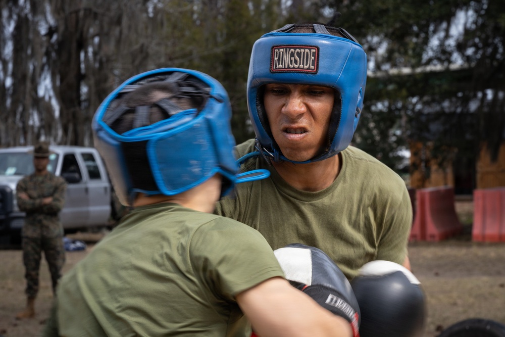 Fox Company Sparring