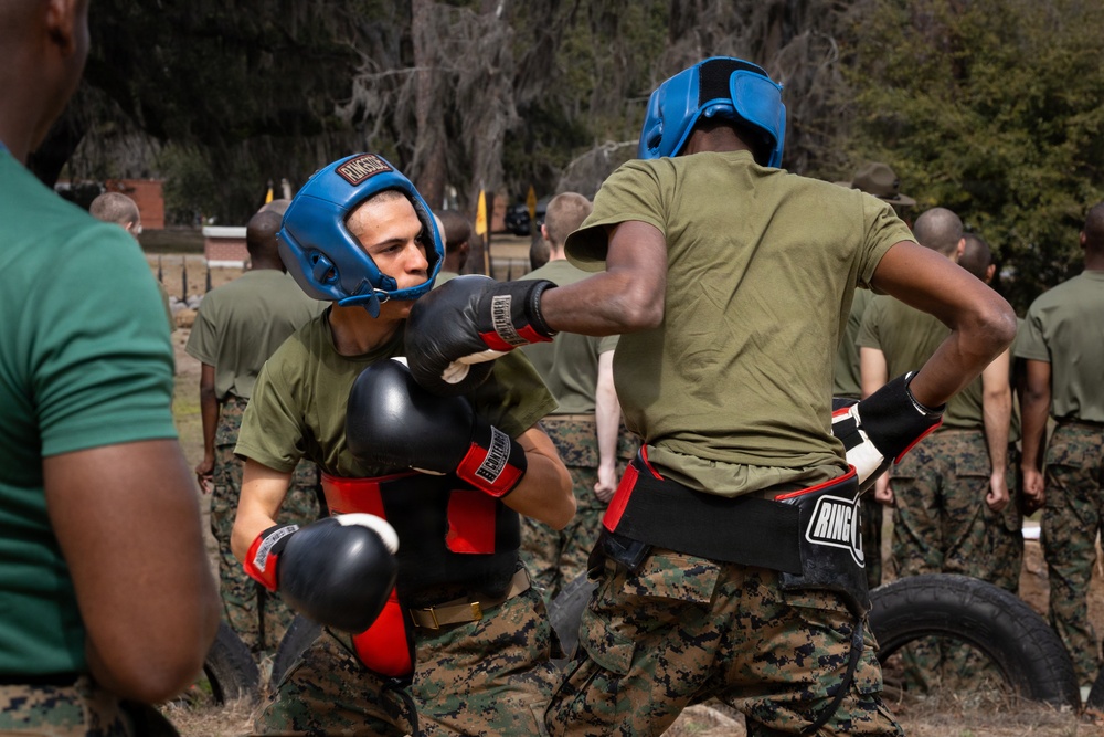 Fox Company Sparring