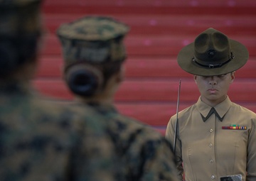 Fox Company Initial Drill