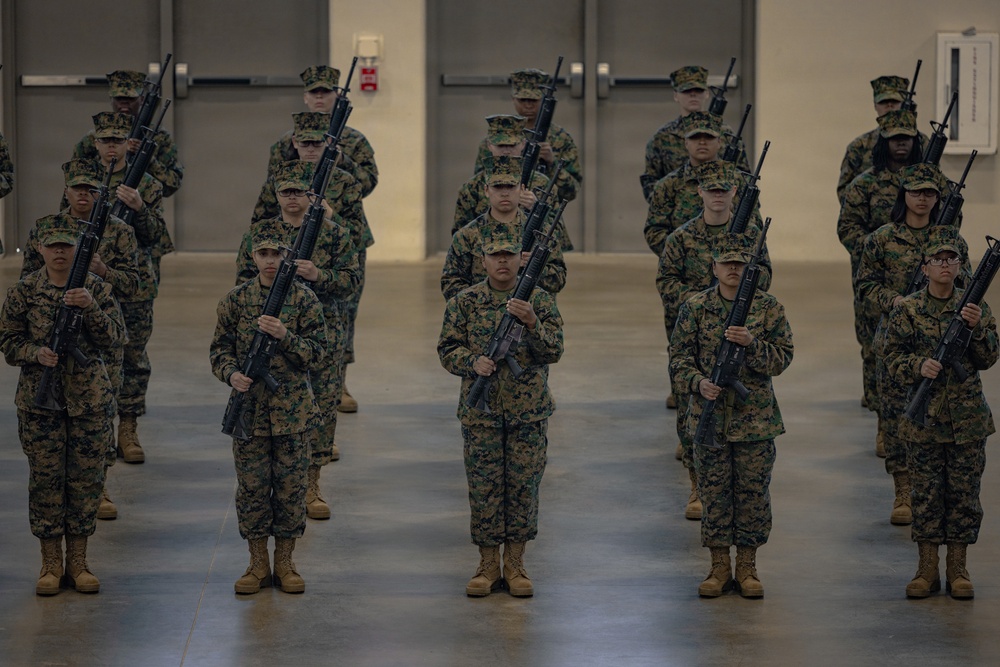 Fox Company Initial Drill