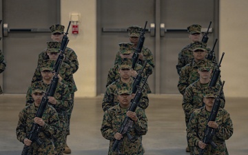 Fox Company Initial Drill