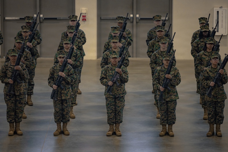 Fox Company Initial Drill