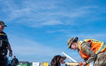 Among Hard Hats: An Army Engineer’s Path to the U.S. Army Corps of Engineers