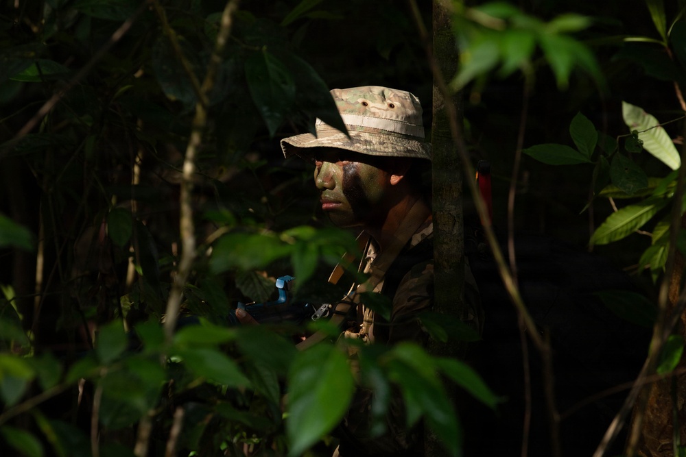 Jungle Operations Training Course - Panama: Recon Mission and Road Crossing