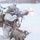 11th Airborne Division Soldiers Engage OPFOR During JPMRC