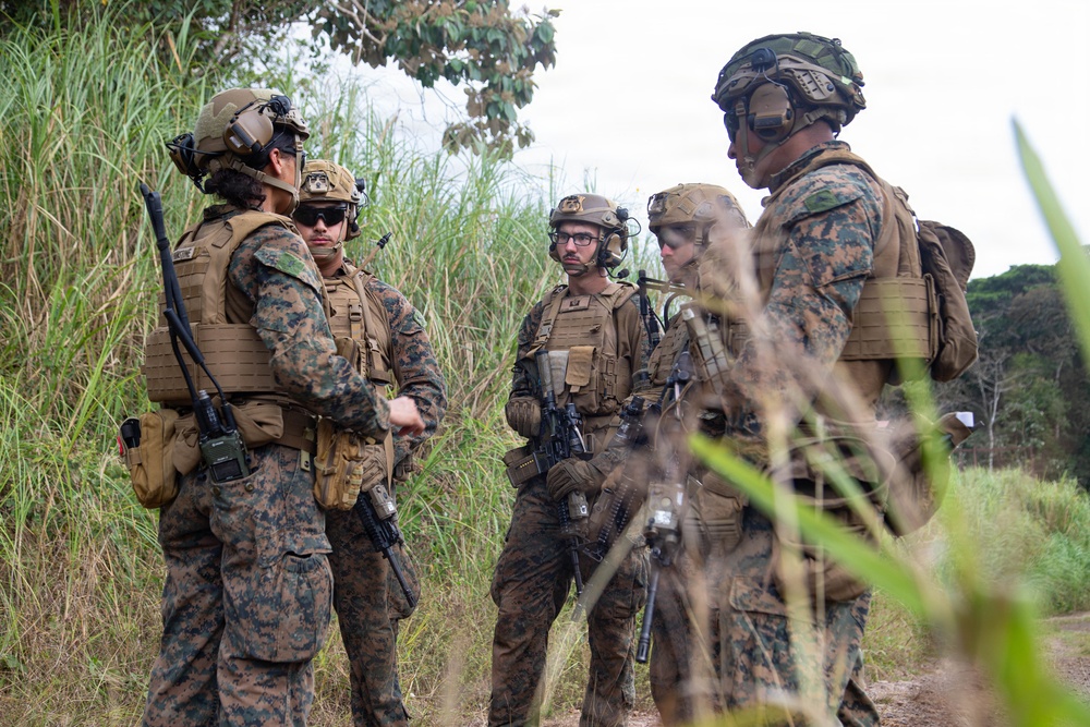 U.S. Marines and Panamanian Partners train on fire team movement techniques