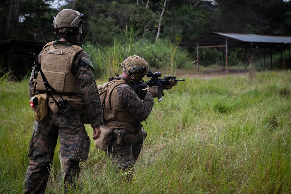 U.S. Marines and Panamanian Partners train on fire team movement techniques