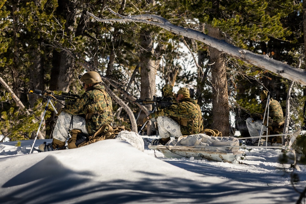 U.S. Marines with 2nd Bn., 4th Marines conduct force-on-force exercise during MTX 1-26