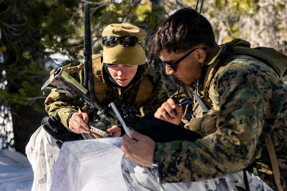 U.S. Marines with 2nd Bn., 4th Marines conduct force-on-force exercise during MTX 1-26