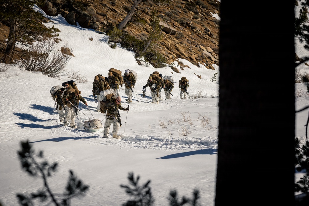 U.S. Marines with 2nd Bn., 4th Marines conduct force-on-force exercise during MTX 1-26