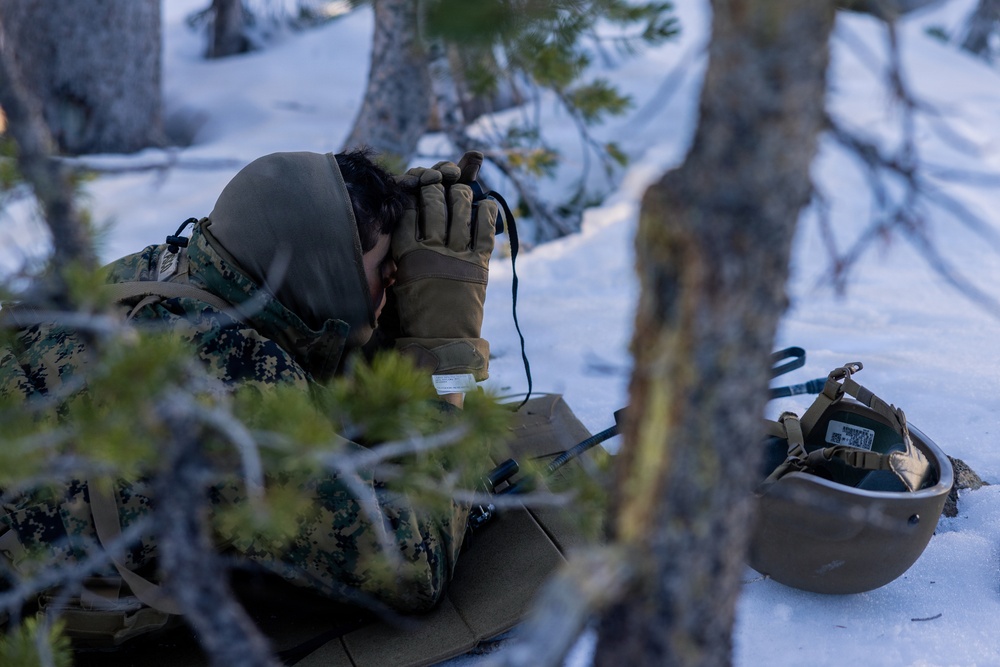 U.S. Marines with 2nd Bn., 4th Marines conduct force-on-force exercise during MTX 1-26