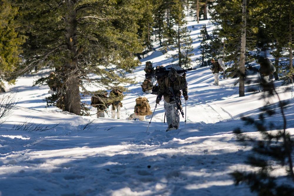 U.S. Marines with 2nd Bn., 4th Marines conduct force-on-force exercise during MTX 1-26
