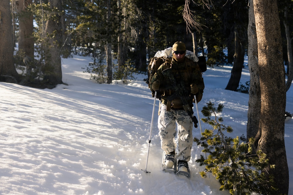 U.S. Marines with 2nd Bn., 4th Marines conduct force-on-force exercise during MTX 1-26