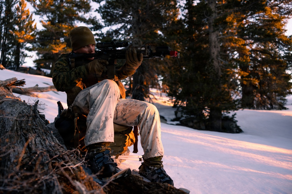 U.S. Marines with 2nd Bn., 4th Marines conduct force-on-force exercise during MTX 1-26