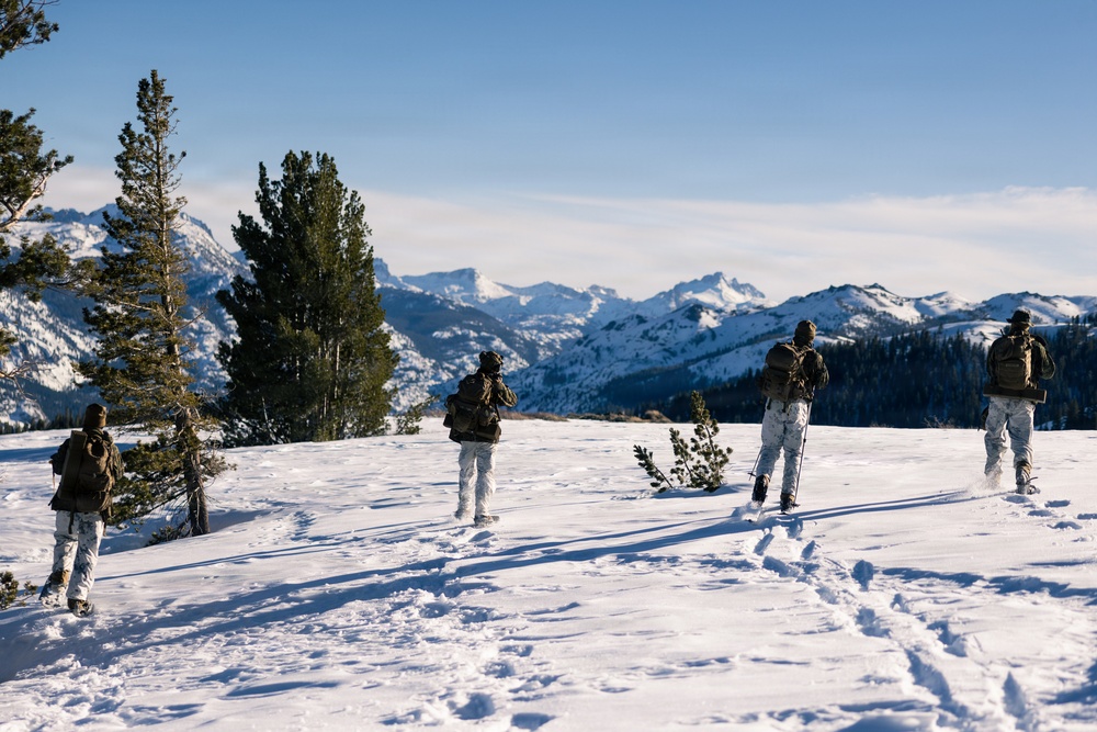 U.S. Marines with 2nd Bn., 4th Marines conduct force-on-force exercise during MTX 1-26