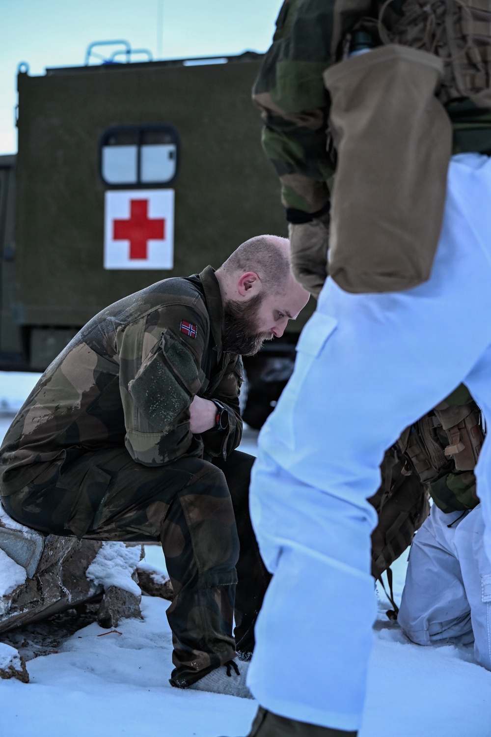 Minnesota National Guard and Norwegian Home Guard complete cold-weather medical training during NOREX53