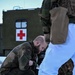 Minnesota National Guard and Norwegian Home Guard complete cold-weather medical training during NOREX53