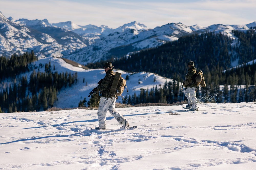 U.S. Marines with 2nd Bn., 4th Marines conduct force-on-force exercise during MTX 1-26