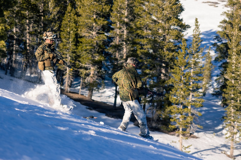 U.S. Marines with 2nd Bn., 4th Marines conduct force-on-force exercise during MTX 1-26