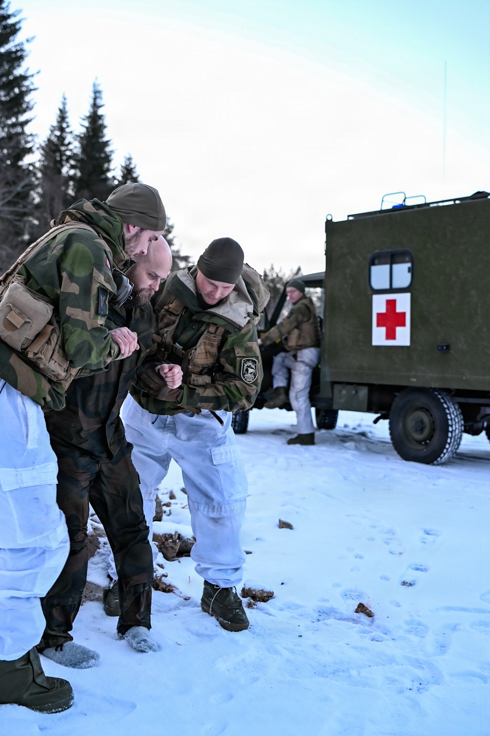 Minnesota National Guard and Norwegian Home Guard complete cold-weather medical training during NOREX53