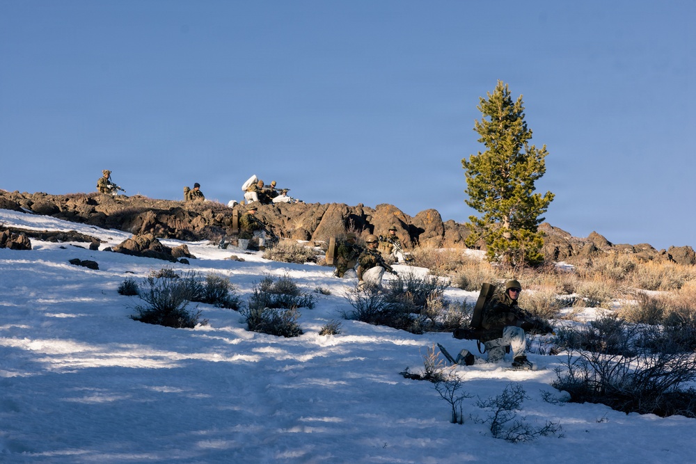 U.S. Marines with 2nd Bn., 4th Marines conduct force-on-force exercise during MTX 1-26