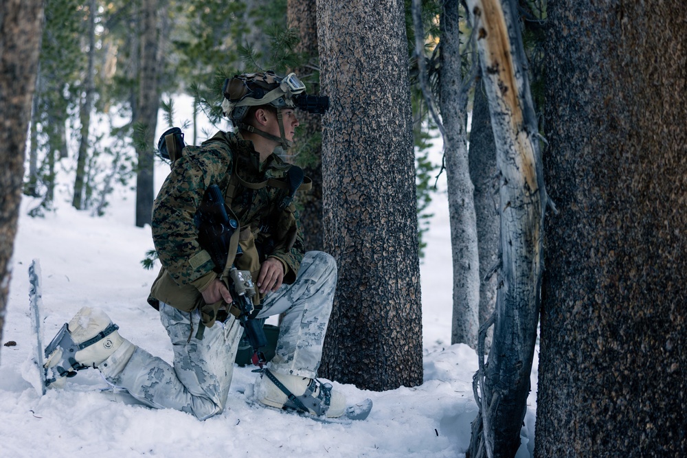 U.S. Marines with 2nd Bn., 4th Marines conduct force-on-force exercise during MTX 1-26