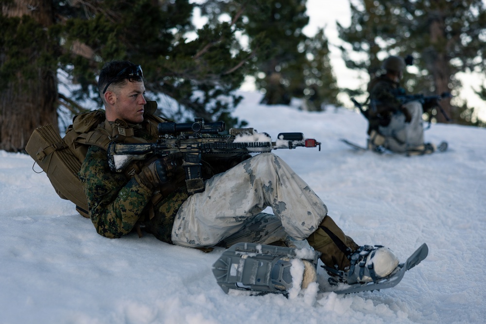U.S. Marines with 2nd Bn., 4th Marines conduct force-on-force exercise during MTX 1-26