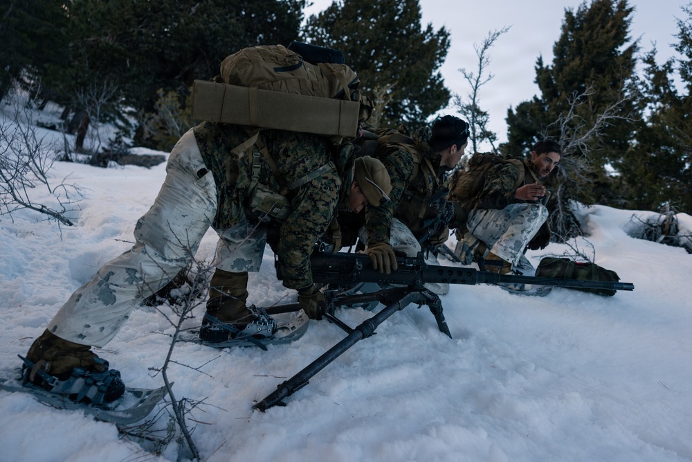 U.S. Marines with 2nd Bn., 4th Marines conduct force-on-force exercise during MTX 1-26