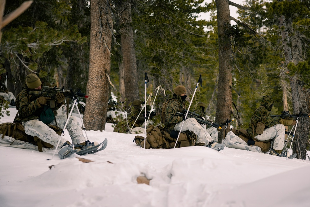 U.S. Marines with 2nd Bn., 4th Marines conduct force-on-force exercise during MTX 1-26
