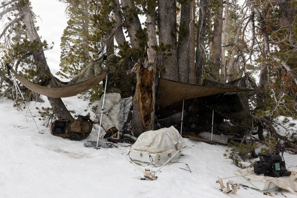 U.S. Marines with 2nd Bn., 4th Marines conduct force-on-force exercise during MTX 1-26