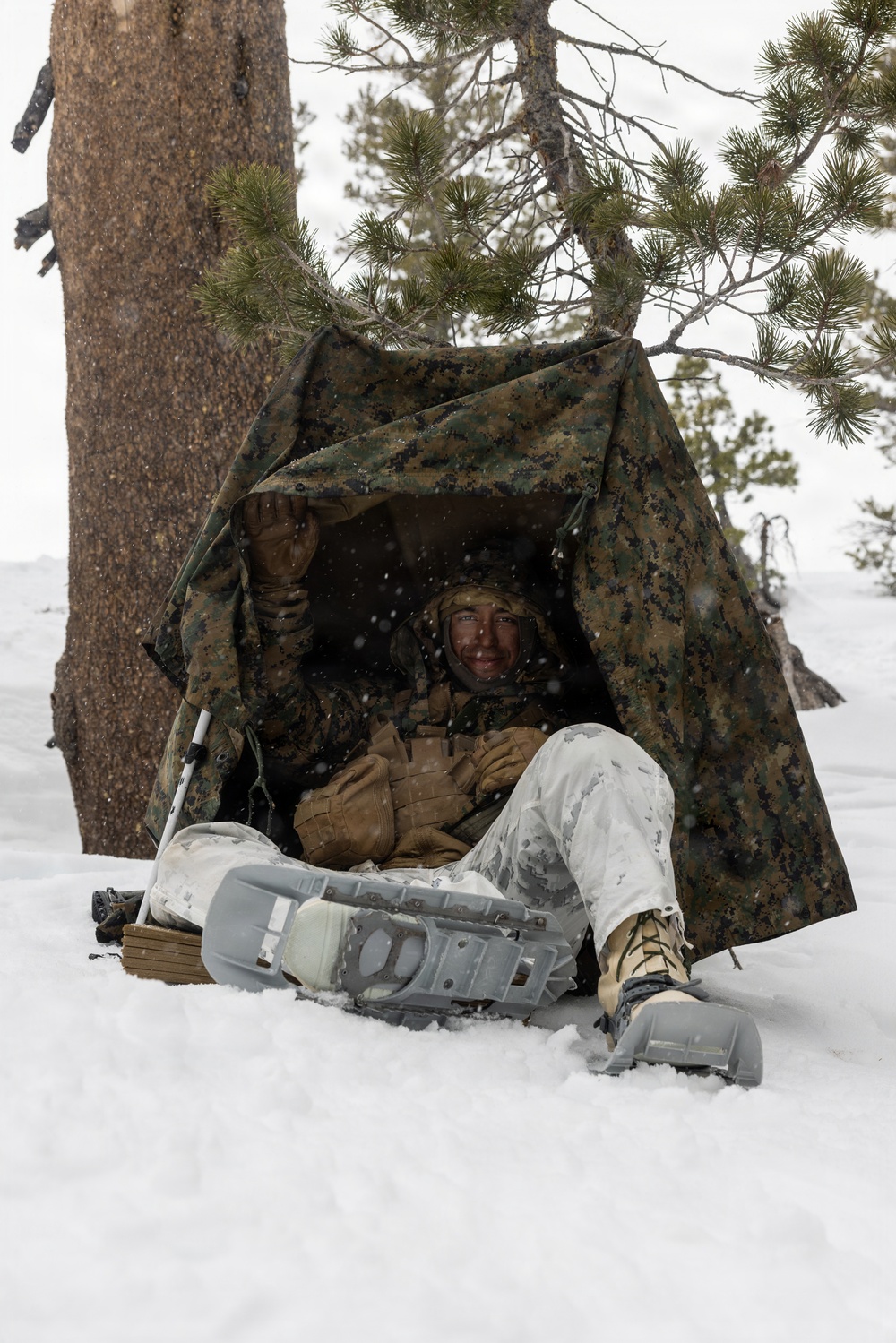 U.S. Marines with 2nd Bn., 4th Marines conduct force-on-force exercise during MTX 1-26