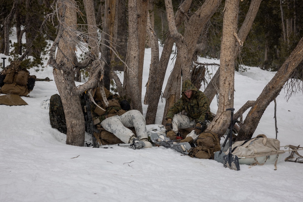 U.S. Marines with 2nd Bn., 4th Marines conduct force-on-force exercise during MTX 1-26