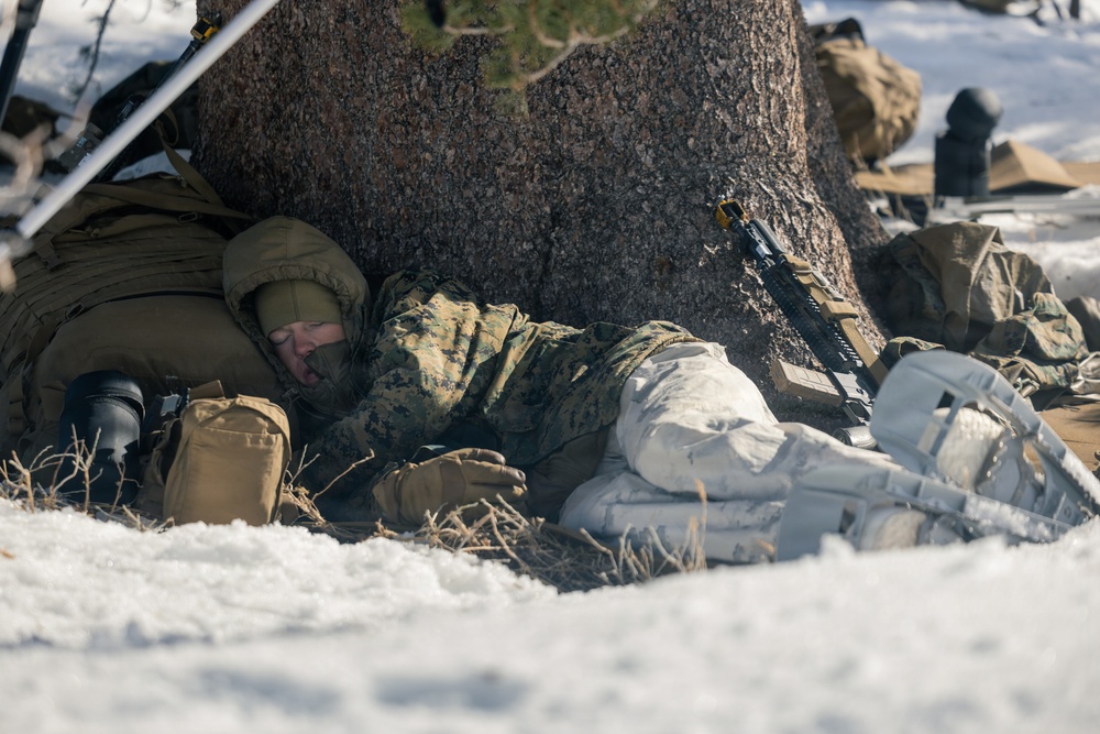 U.S. Marines with 2nd Bn., 4th Marines conduct force-on-force exercise during MTX 1-26
