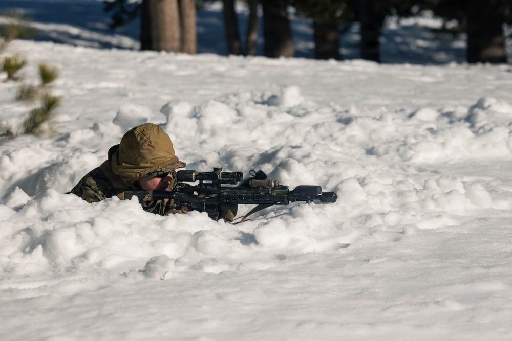 U.S. Marines with 2nd Bn., 4th Marines conduct force-on-force exercise during MTX 1-26