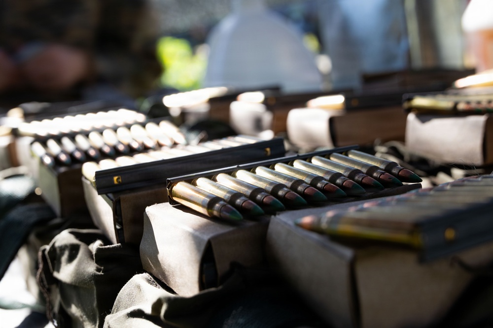 1st ANGLICO completes basic skills package