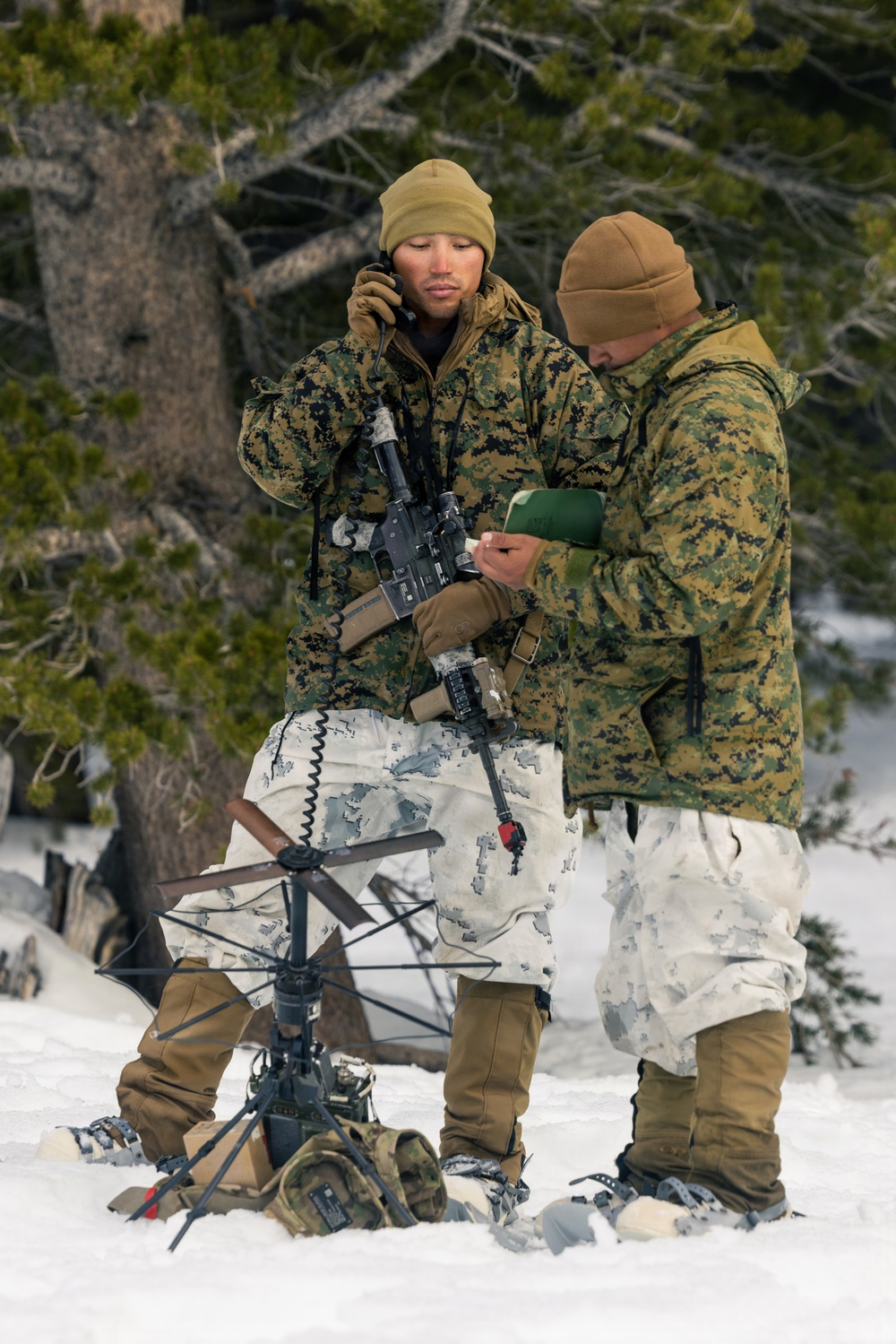 U.S. Marines with 2nd Bn., 4th Marines conduct force-on-force exercise during MTX 1-26