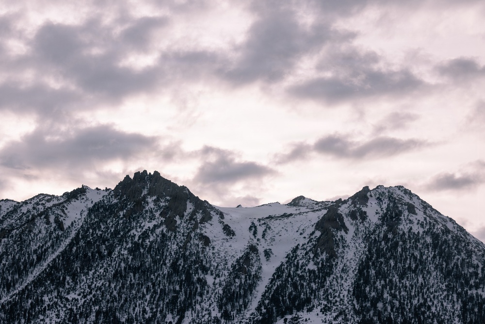 U.S. Marines with 2nd Bn., 4th Marines conduct force-on-force exercise during MTX 1-26