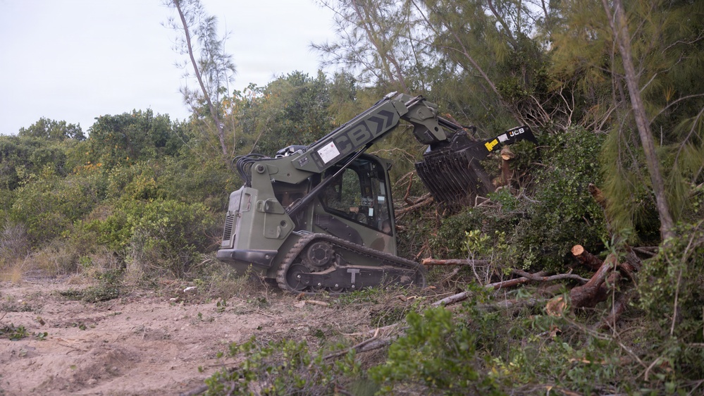 U.S. Marines with MWSS-271 conduct tree-felling operations