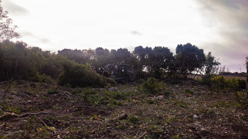 U.S. Marines with MWSS-271 conduct tree-felling operations